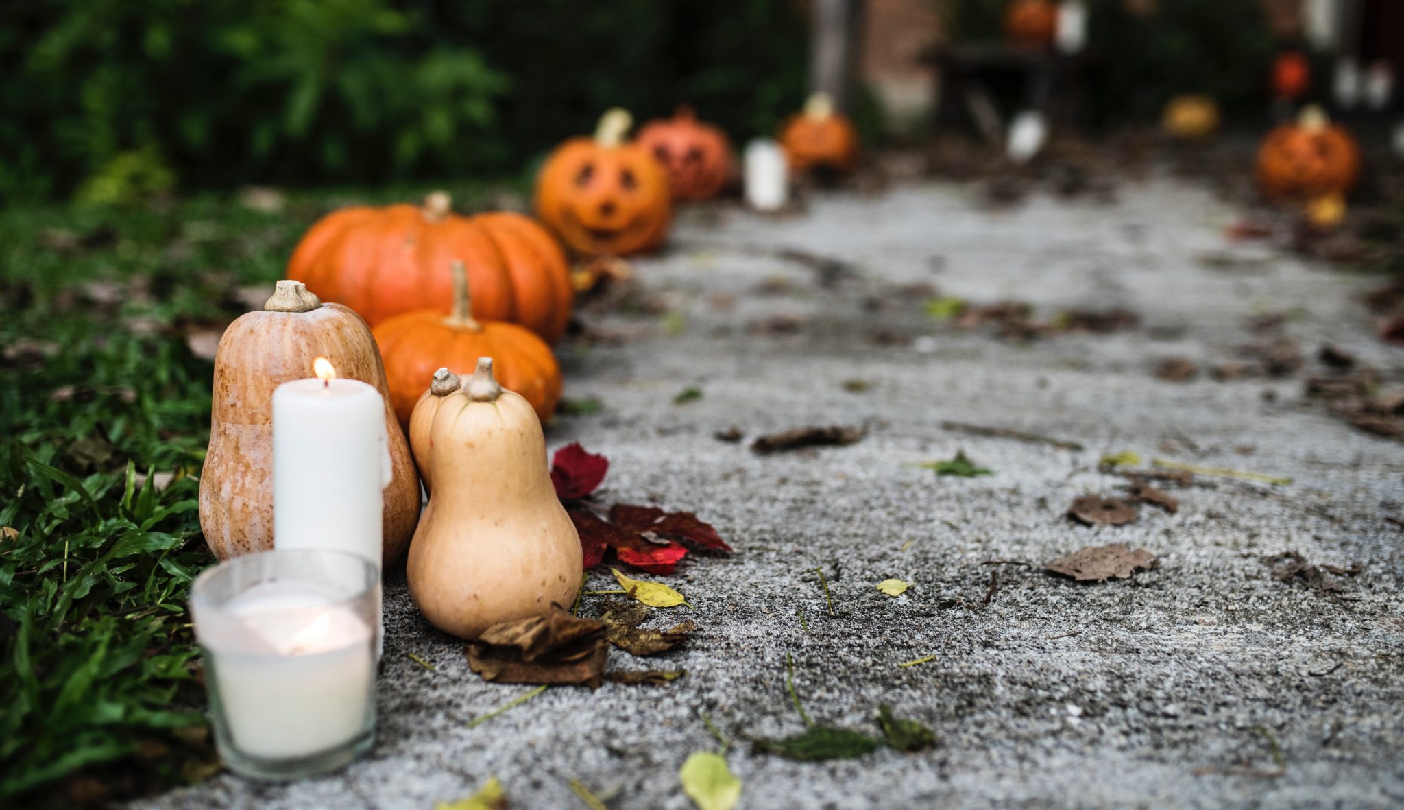 image of pumpkins