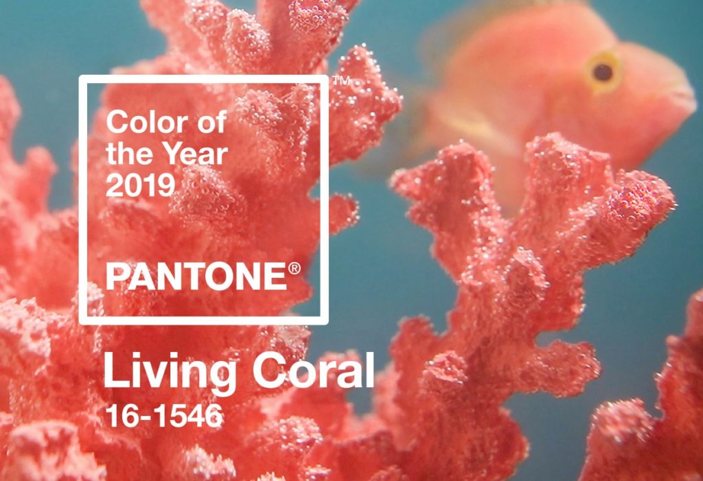 Image of living coral design trend